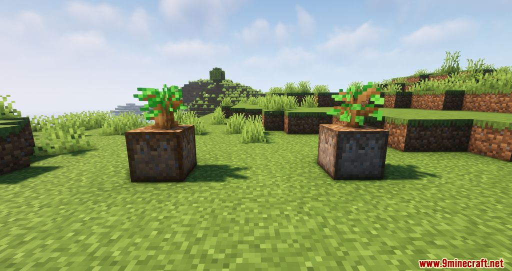 Planting Dirt for Saplings Mod (1.20.4, 1.19.4) - Auto Planting Trees 5