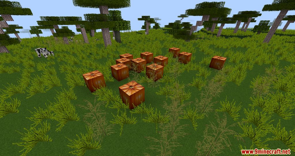 Real Rustic Resource Pack (1.20.6, 1.20.1) - Texture Pack 5