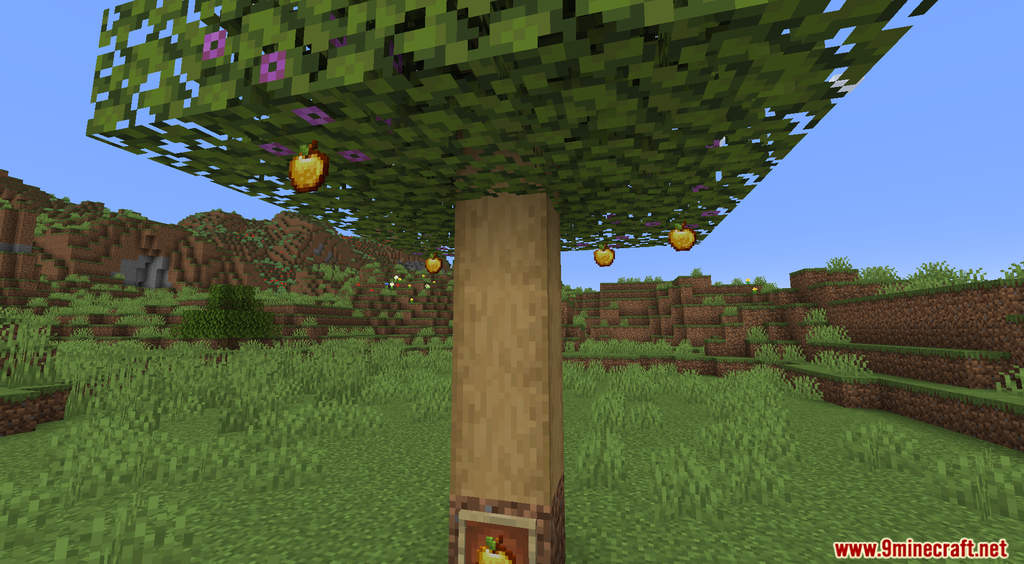 Apple Trees Data Pack (1.19.4, 1.18.2) - Realistic Apple Trees 11