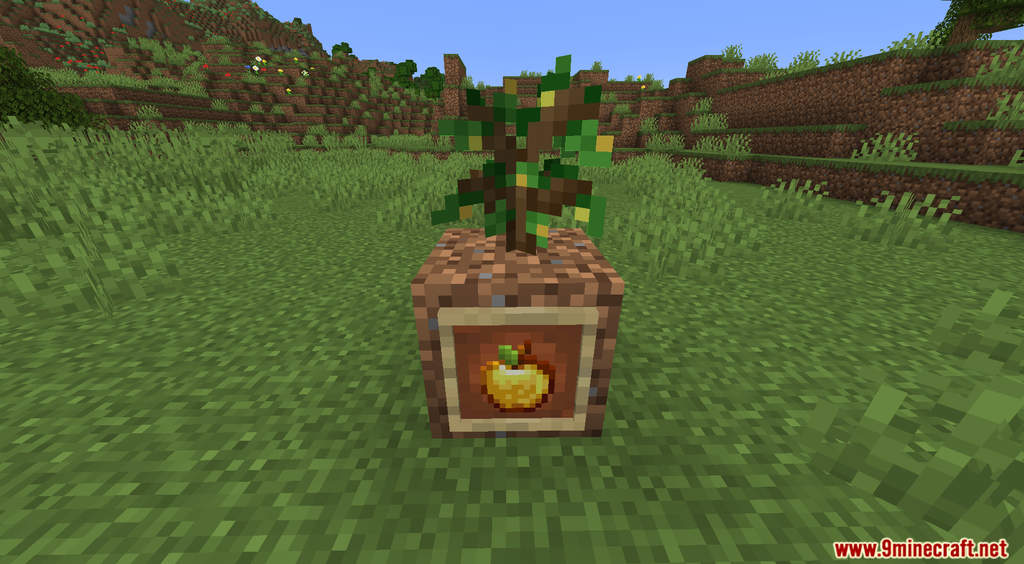 Apple Trees Data Pack (1.19.4, 1.18.2) - Realistic Apple Trees 10