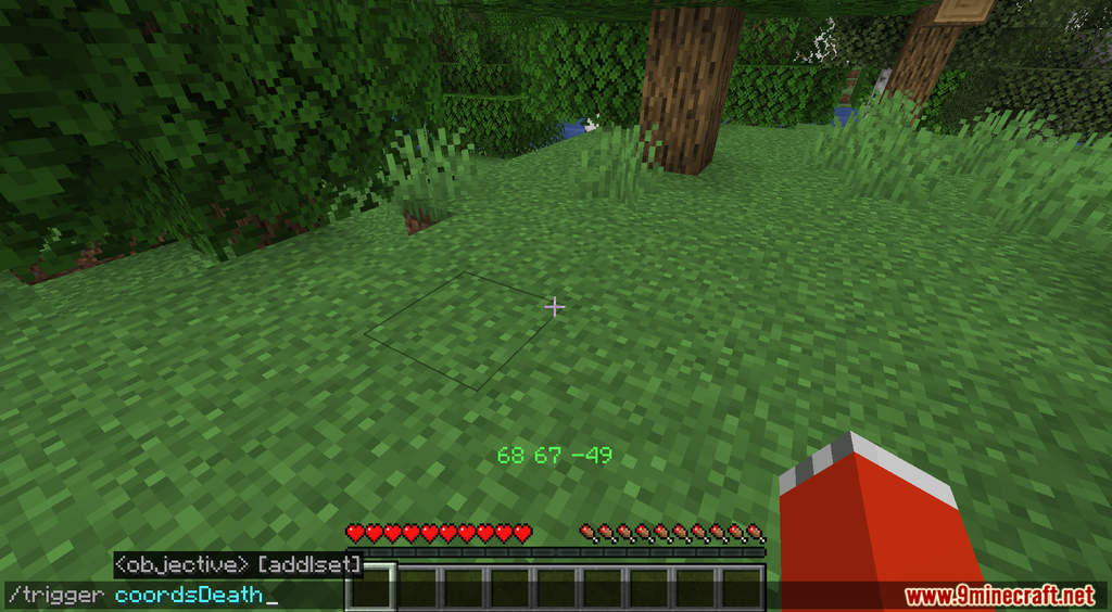 Better Coords Data Pack (1.19.3, 1.18.2) - On-screen Coordinates 5