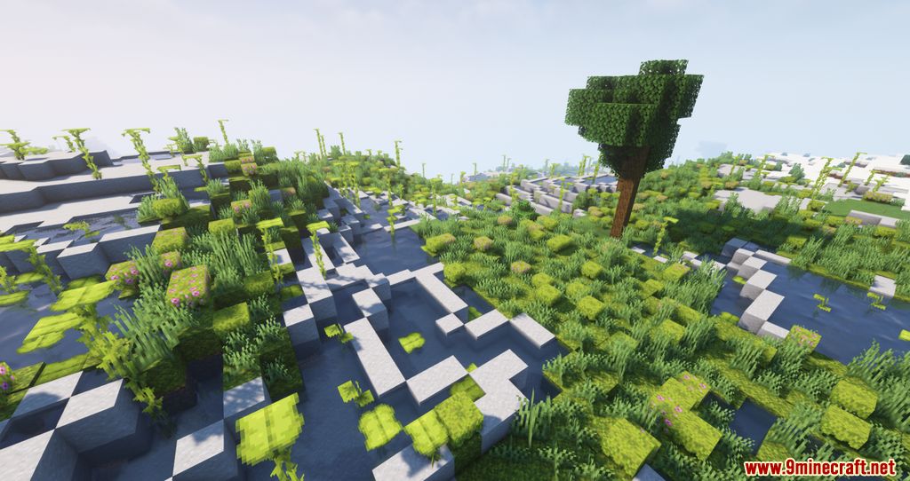 Lush Forests Mod (1.18.2, 1.18.1) - New Biomes to Explore 12