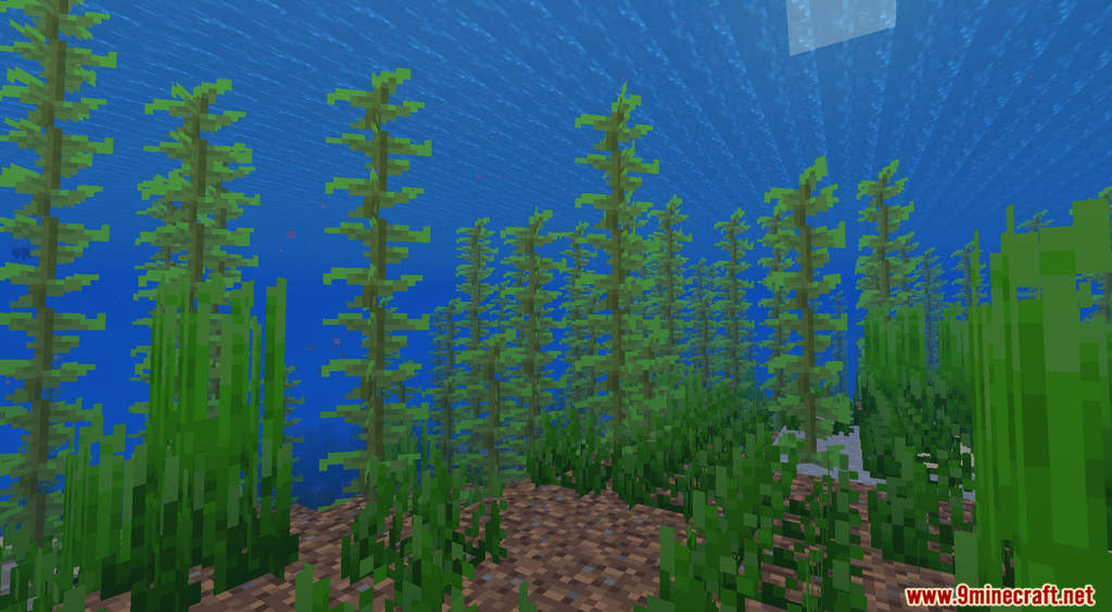 Minecraft But Kelp Is Extremely OP Data Pack 1.18.1, 1.17.1 (OP Kelp) 2