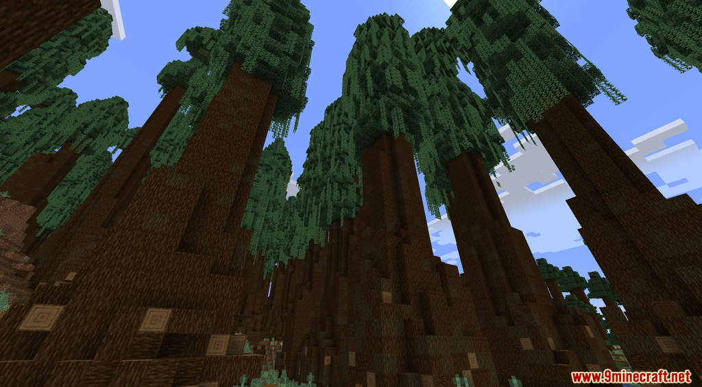 Sequoia Trees Data Pack (1.19.4, 1.19.2) - Giant Trees! 3