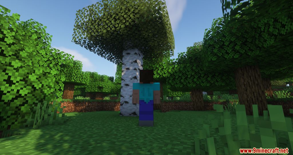 Sneaky Tree Growing Mod (1.20.1, 1.19.4) - Easy Tree Growth 9