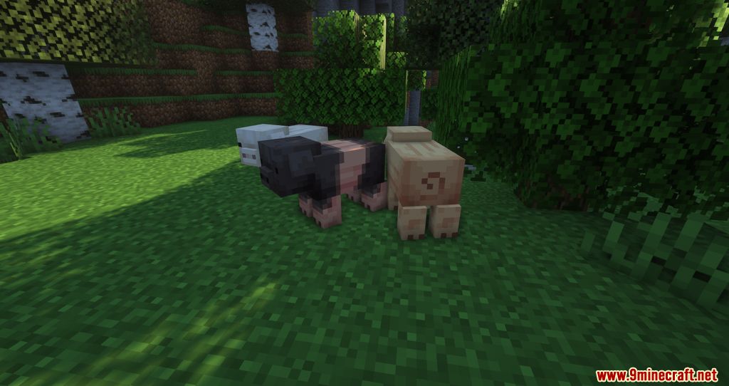 Wilder Animals Resource Pack (1.18.2, 1.17.1) - Texture Pack 4