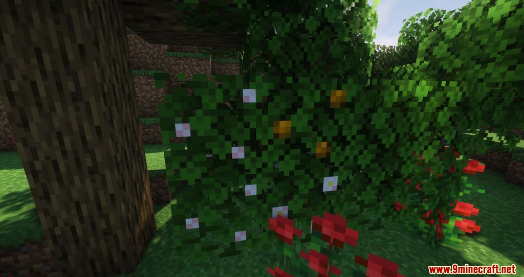 Blossom Mod (1.20.1, 1.19.4) - Getting Fruits from Trees 6