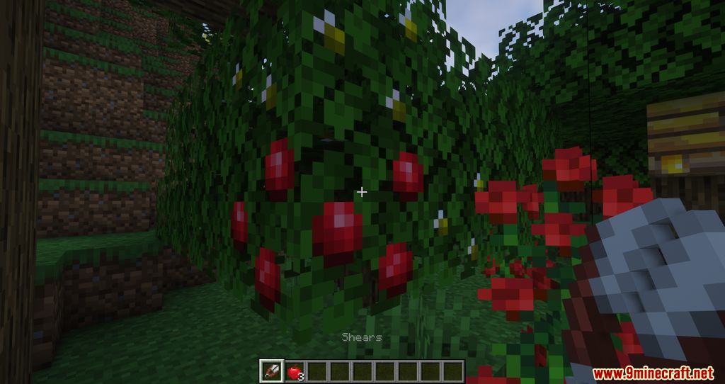 Blossom Mod (1.20.1, 1.19.4) - Getting Fruits from Trees 9