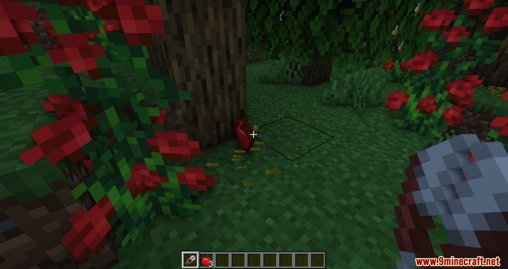 Blossom Mod (1.20.1, 1.19.4) - Getting Fruits from Trees 11