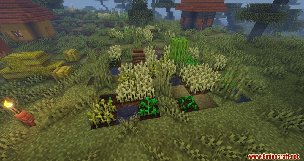 Crops Love Rain Mod (1.20.4, 1.19.3) - Crops can now grow faster with Rain 3