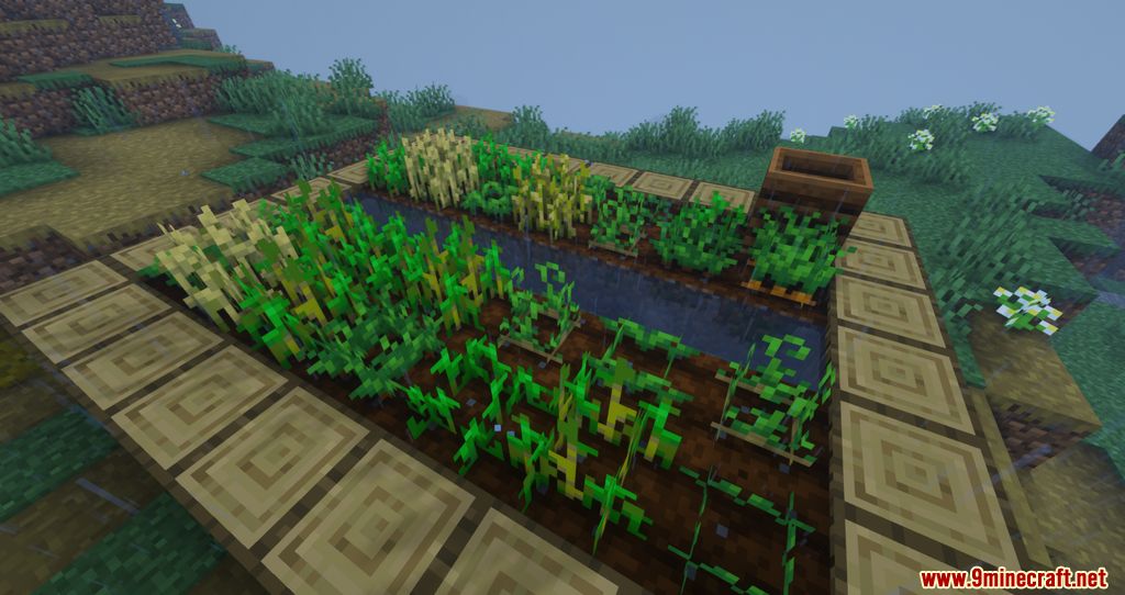 Crops Love Rain Mod (1.20.4, 1.19.3) - Crops can now grow faster with Rain 7