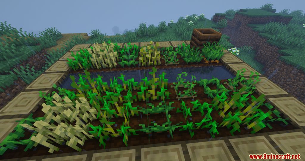 Crops Love Rain Mod (1.20.4, 1.19.3) - Crops can now grow faster with Rain 8