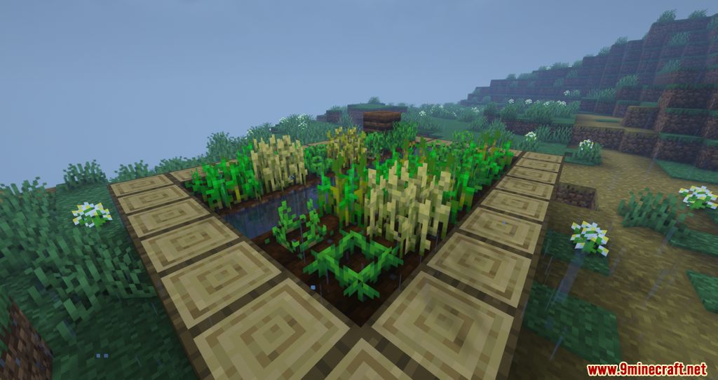 Crops Love Rain Mod (1.20.4, 1.19.3) - Crops can now grow faster with Rain 10