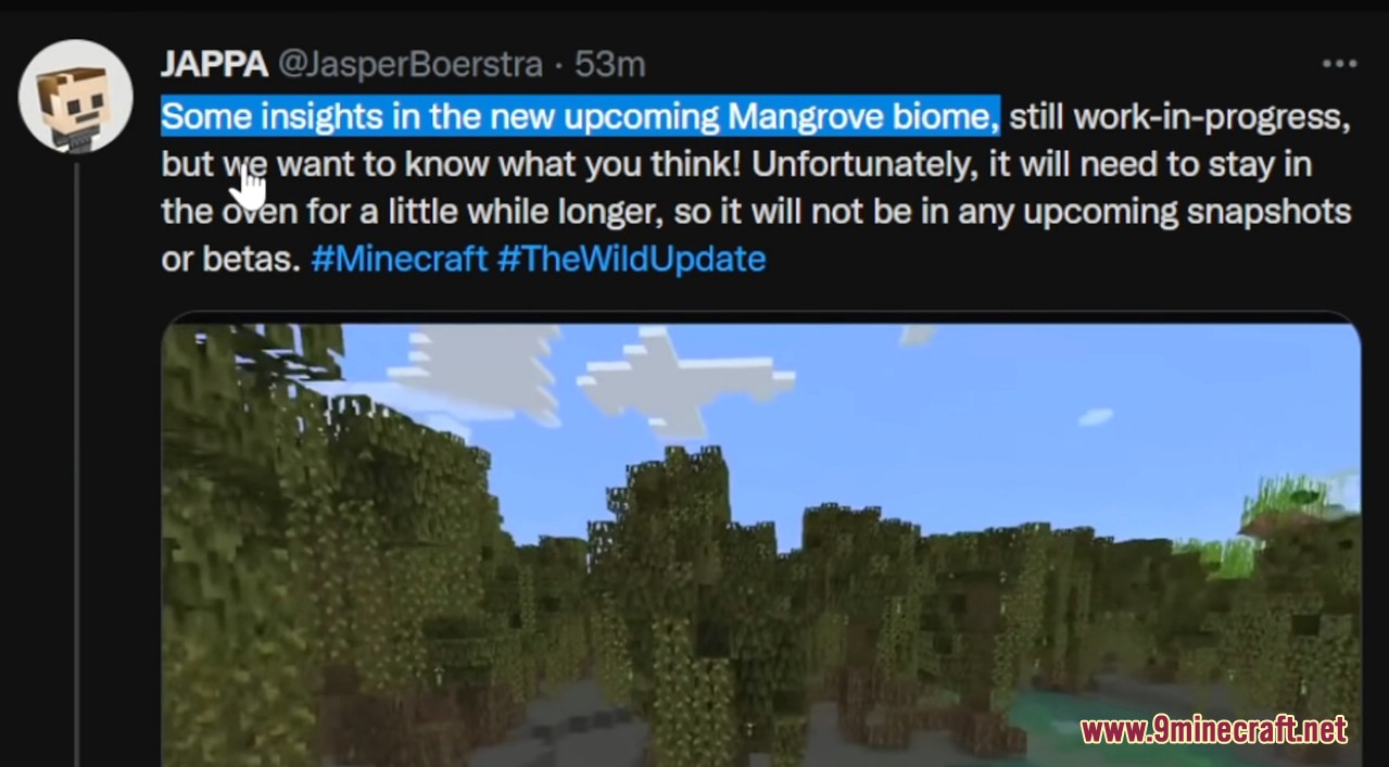 Minecraft 1.18.2 Pre-Release 2 (Mangrove Biome WIP) 3