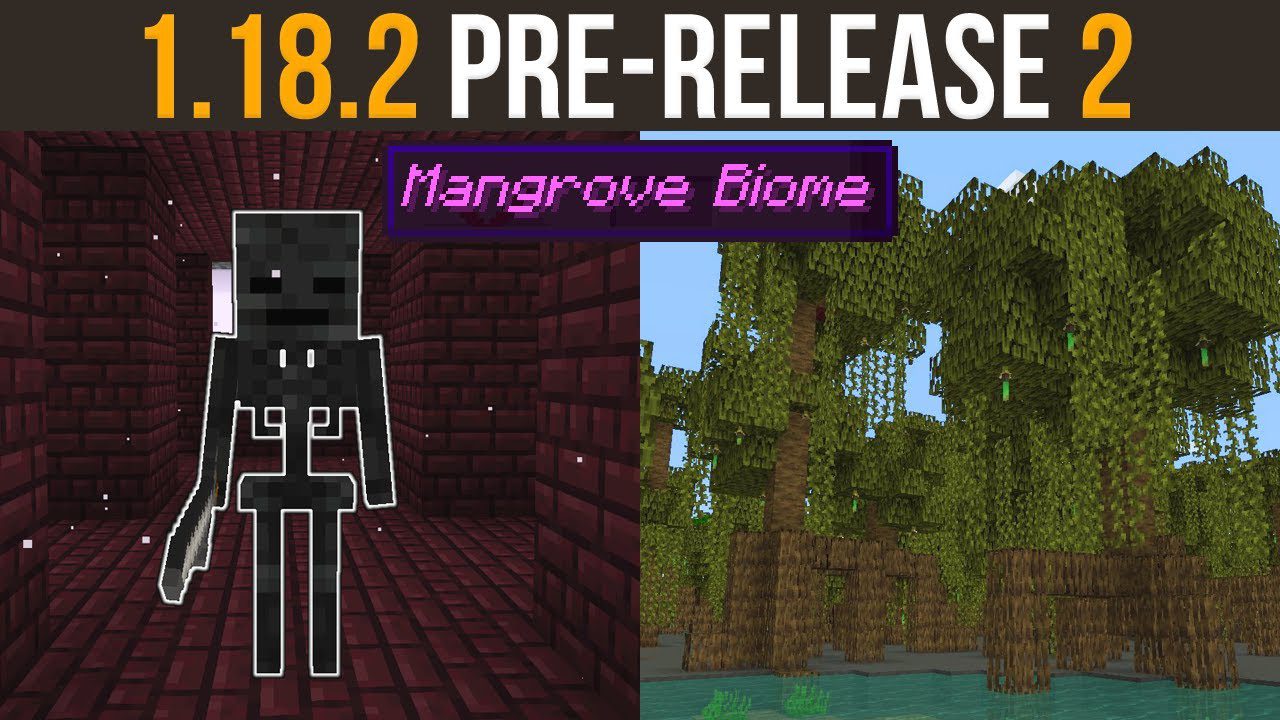 Minecraft 1.18.2 Pre-Release 2 (Mangrove Biome WIP) 1