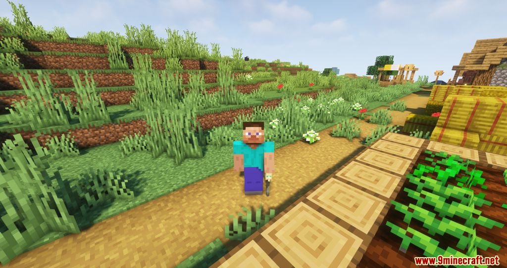 Walking Canes Mod (1.18.2, 1.16.5) - Allowing Players to Move Faster 11