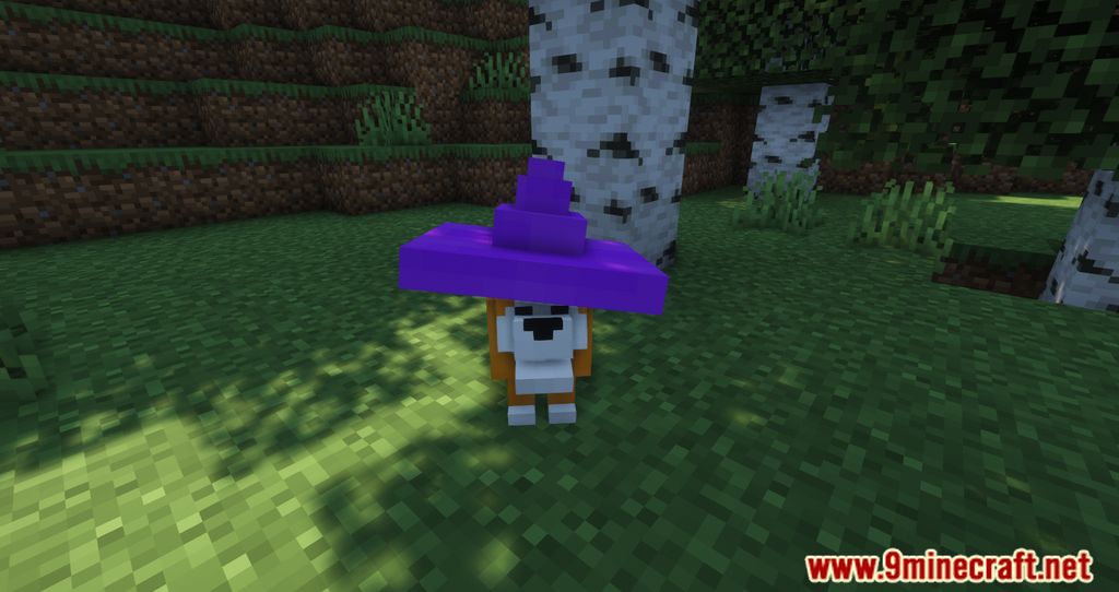 Dog Mod (1.16.5) – New Variants of a beloved companion 10