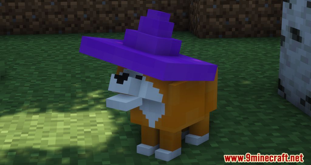 Dog Mod (1.16.5) – New Variants of a beloved companion 2