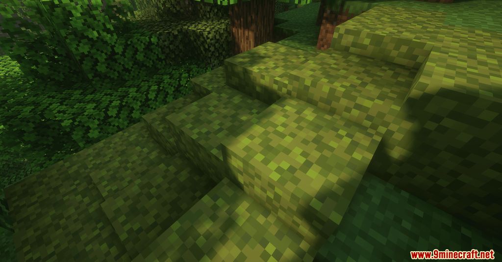 Moss Layers Mod (1.20.6, 1.20.1) - Blocks getting Moss over times 2