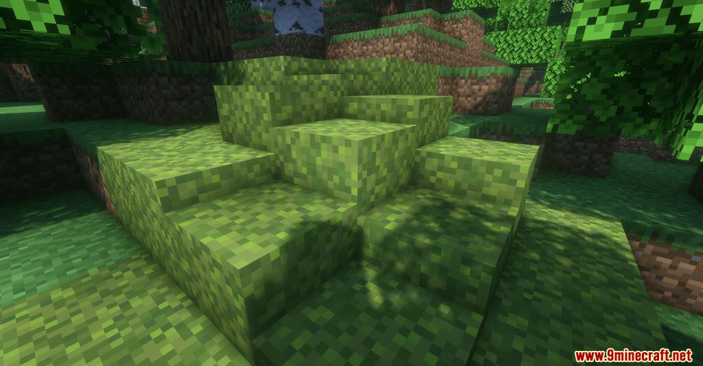 Moss Layers Mod (1.20.6, 1.20.1) - Blocks getting Moss over times 3