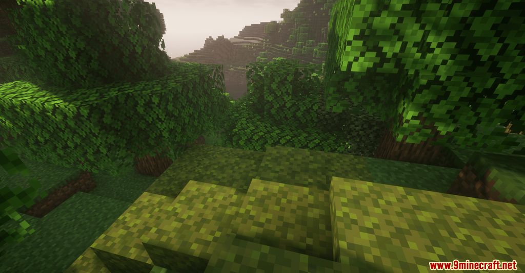 Moss Layers Mod (1.20.6, 1.20.1) - Blocks getting Moss over times 4