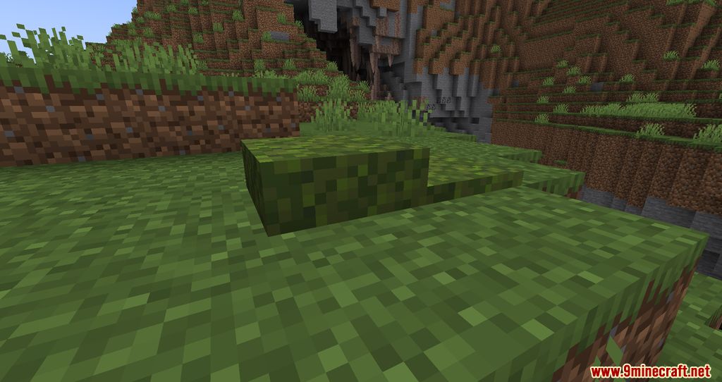 Moss Layers Mod (1.20.6, 1.20.1) - Blocks getting Moss over times 8