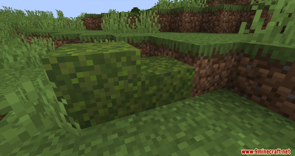 Moss Layers Mod (1.20.6, 1.20.1) - Blocks getting Moss over times 9