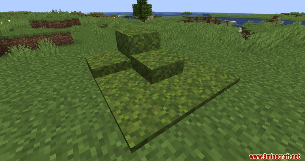 Moss Layers Mod (1.20.6, 1.20.1) - Blocks getting Moss over times 10