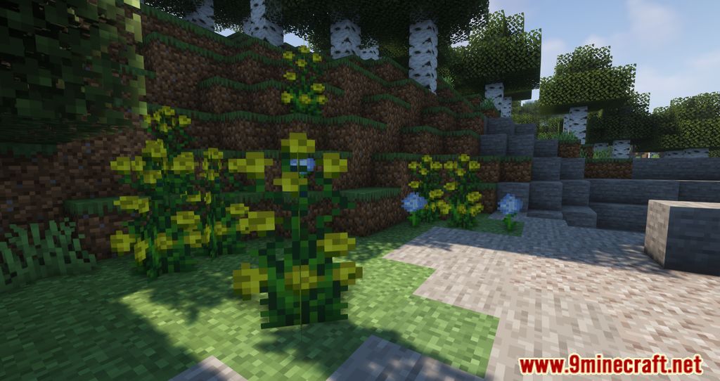 Nature Expansion Mod (1.19.2, 1.18.2) – Improves The Minecraft Vegetation 8