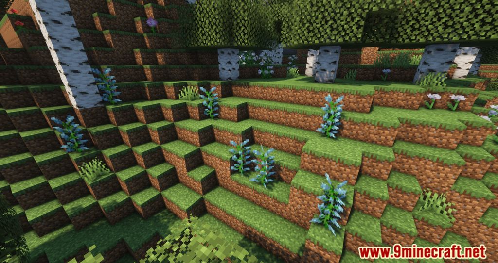 Nature Expansion Mod (1.19.2, 1.18.2) – Improves The Minecraft Vegetation 7
