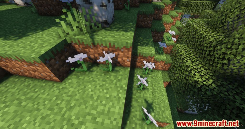 Nature Expansion Mod (1.19.2, 1.18.2) – Improves The Minecraft Vegetation 6