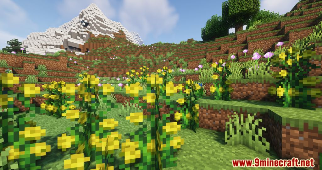 Nature Expansion Mod (1.19.2, 1.18.2) – Improves The Minecraft Vegetation 5