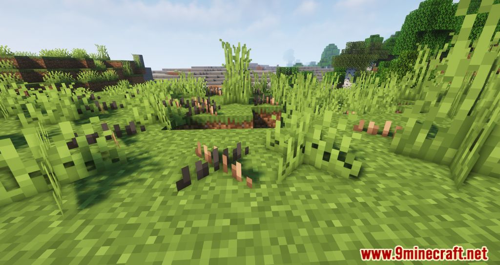 Nature Expansion Mod (1.19.2, 1.18.2) – Improves The Minecraft Vegetation 2