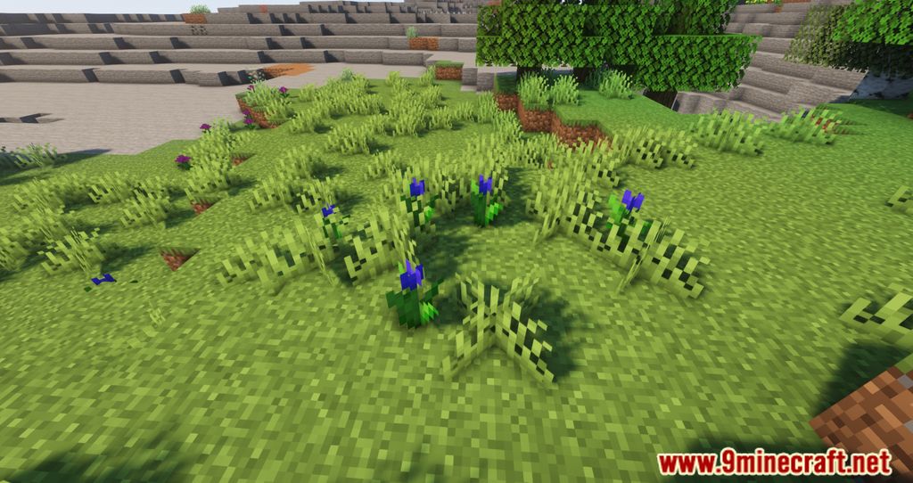 Nature Expansion Mod (1.19.2, 1.18.2) – Improves The Minecraft Vegetation 3