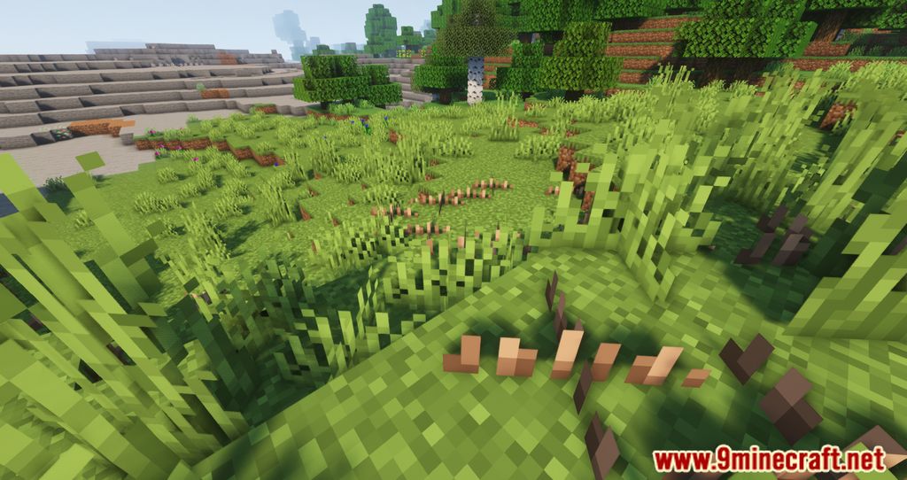 Nature Expansion Mod (1.19.2, 1.18.2) – Improves The Minecraft Vegetation 9