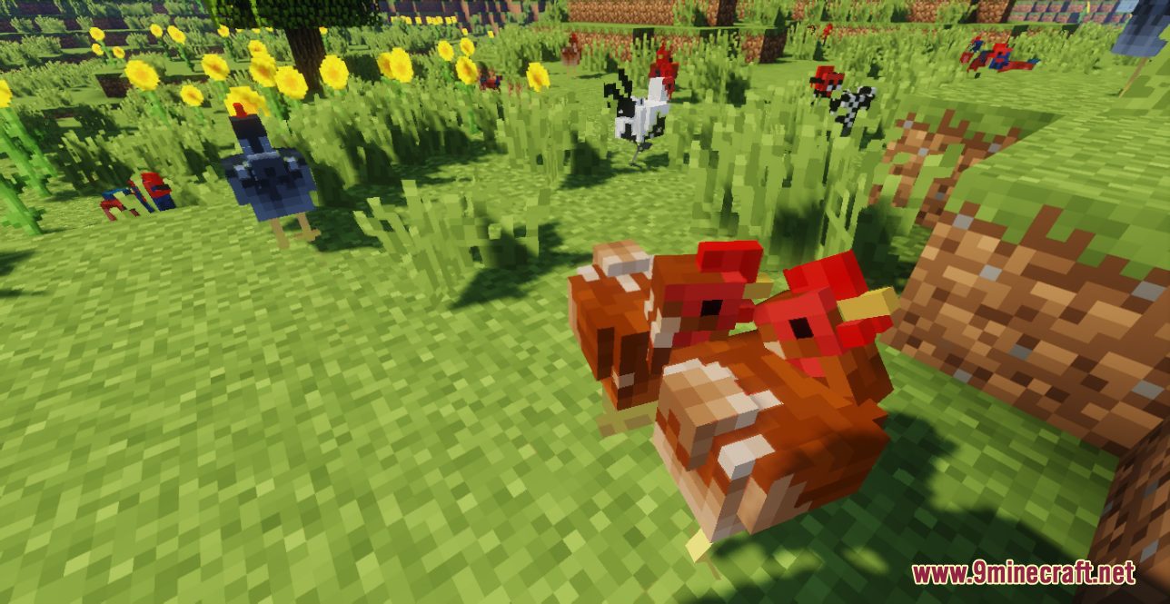 Better Chickens Resource Pack (1.20.6, 1.20.1) - Texture Pack 2