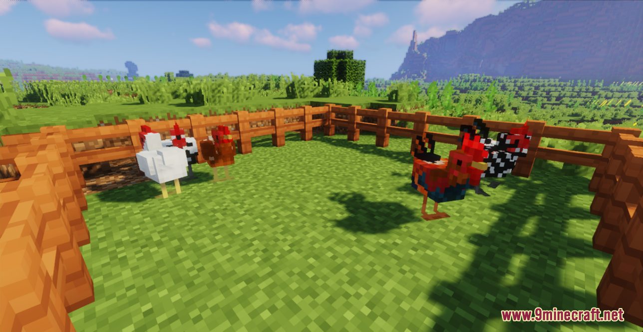 Better Chickens Resource Pack (1.20.6, 1.20.1) - Texture Pack 9