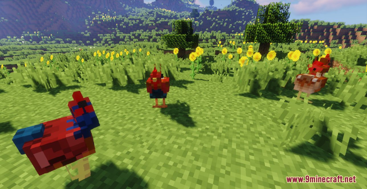 Better Chickens Resource Pack (1.20.6, 1.20.1) - Texture Pack 6