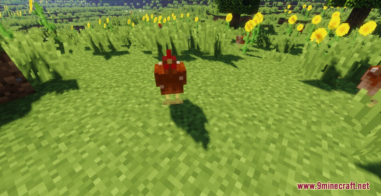 Better Chickens Resource Pack (1.20.6, 1.20.1) - Texture Pack 3