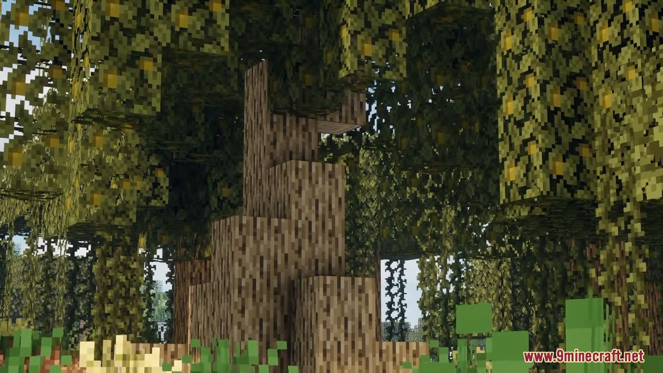 Better Default Biomes Mod (1.20.2, 1.19.4) - Enhance the Vanilla World 6