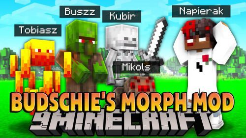 Budschie’s Morph Mod (1.18.2, 1.16.5) – Making You Fly as a Bee Thumbnail