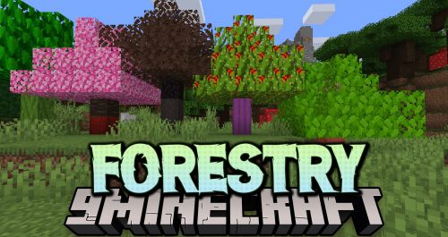 Forestry Mod (1.16.5, 1.12.2) – Bringing Bees, Butterflies and More Trees Thumbnail