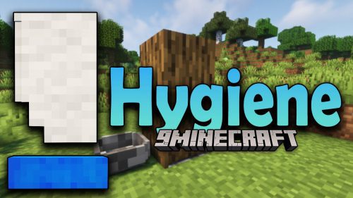 Hygiene Mod (1.18.2, 1.16.5) – Cleaning yourself Thumbnail