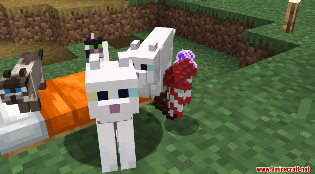 Minecraft But Cats Will Give You OP Daily Gifts Data Pack (1.19.3, 1.18.2) 7