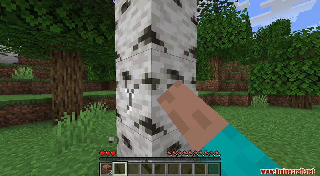 Minecraft But If You Jump You Lose A Heart Data Pack (1.19.3, 1.18.2) 3