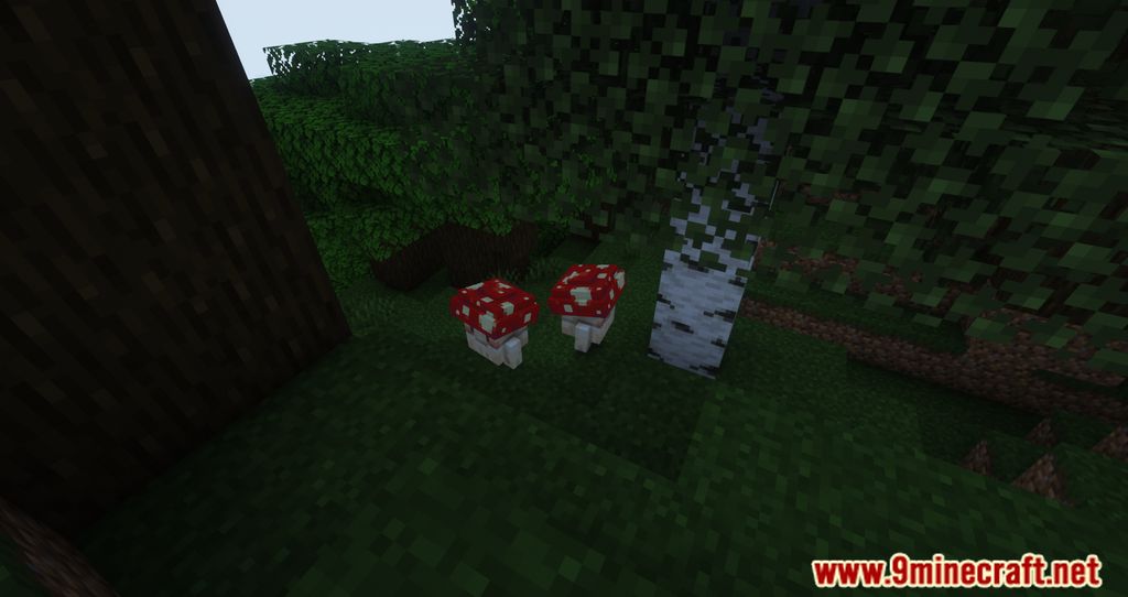 Mushlings! Mod (1.18.2) - A New Adorable Creature 2