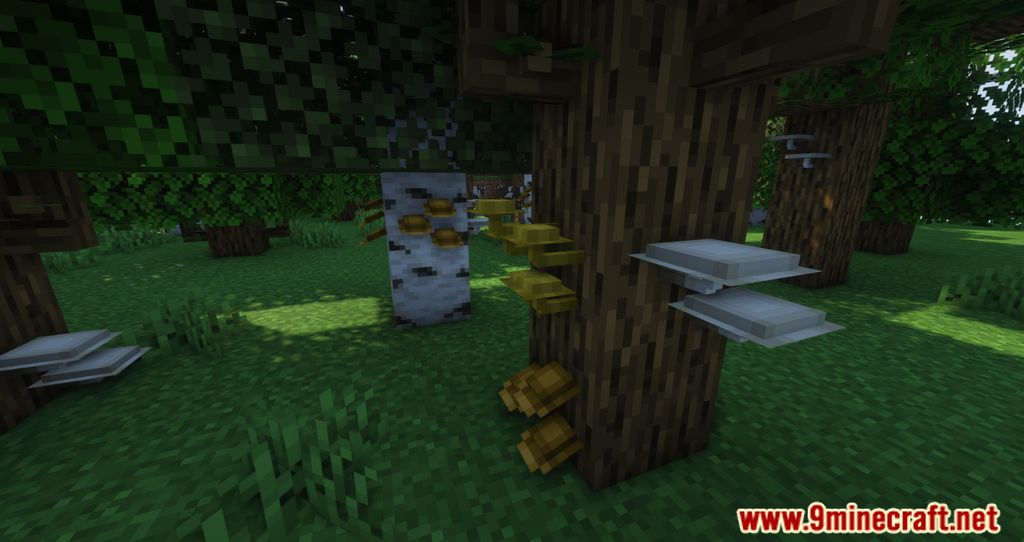 Natural Decoration Mod (1.18.2) - Making Trees more beautiful 9