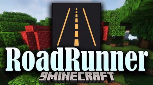 RoadRunner Mod (1.16.5) – Optimizing Minecraft Thumbnail