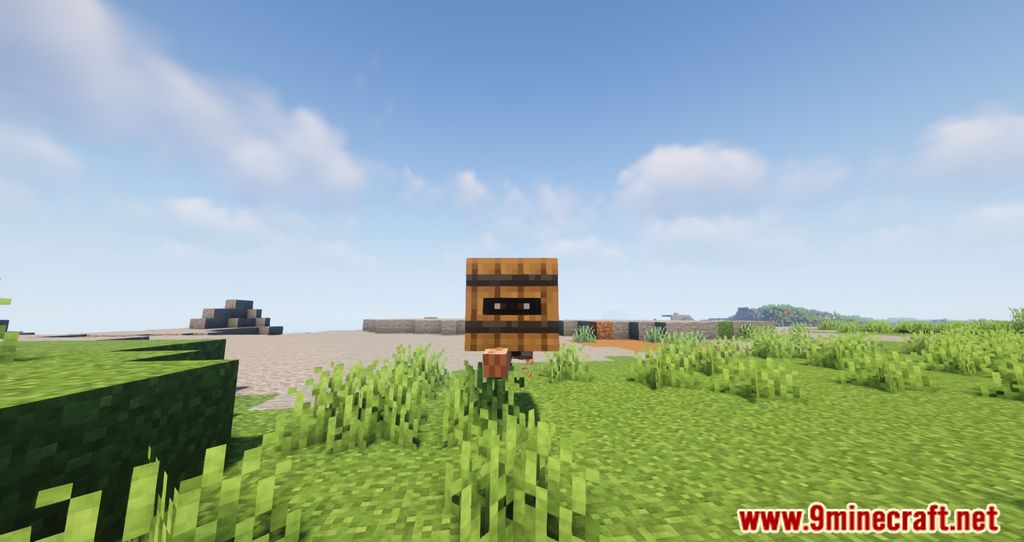 The Box Trot Mod (1.19.3, 1.18.2) - Disguising yourself 3