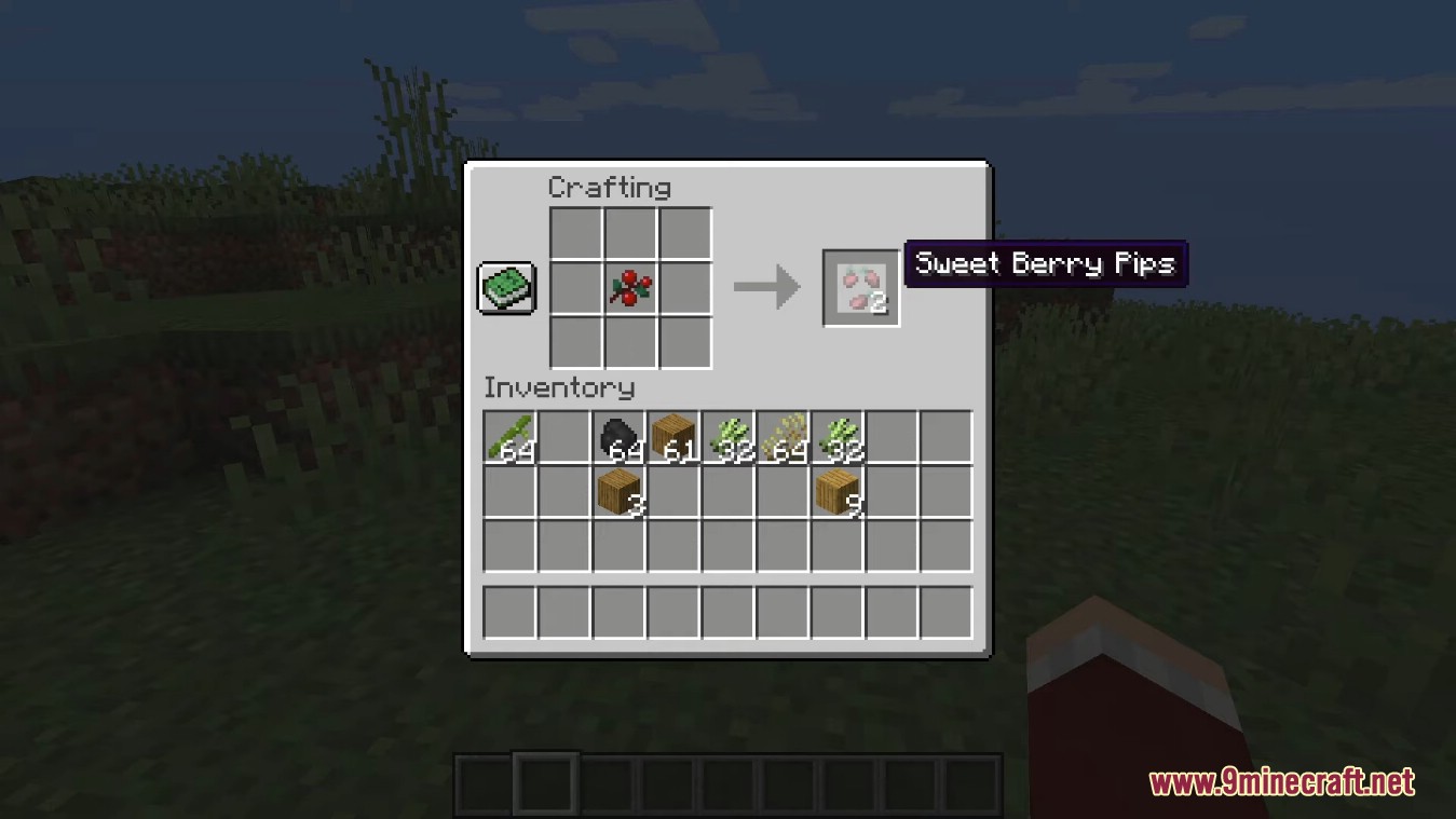 Berry Good Mod (1.19.2, 1.18.2) - Improve Berries in Simple Ways 7